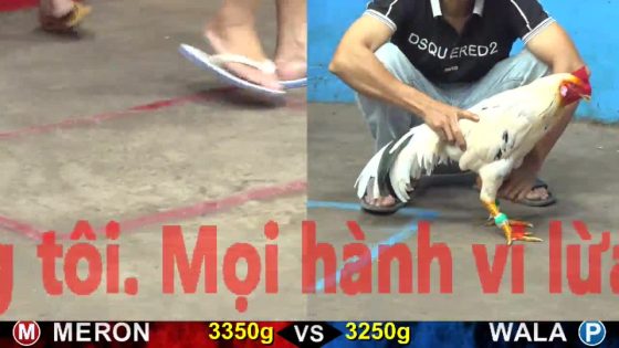 TRẬN 25 CPC5 22/10/2025 : BƯỚM ĐÁ CÁI BO NHƯ XE ĐỤNG CỤNG VÔ ÚA 1 CHÂN ÚA LẬT XE