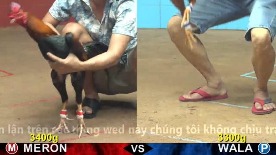 TRẬN 14 CPC4 24/10/2025 : ĐIỀU CHẶN 1 CHÂN ĐỊNH ĐOẠT GIANG SƠN