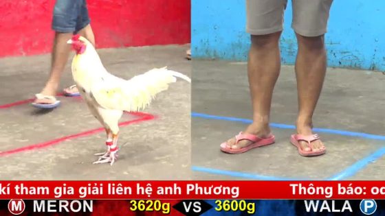 TRẬN 1 CPC5 NGÀY 5/10/2025 : KHÉT CANH CHẶN BƯỚM CÂY NÁCH ÓI SI RÔ